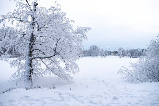 Karinemenpuisto Park and Lake Vesijärvi, Lahti Finland in winter