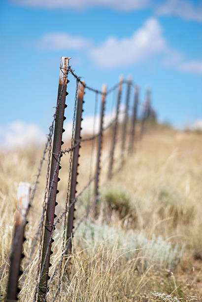 istock barbed wire fence landscape 182907330