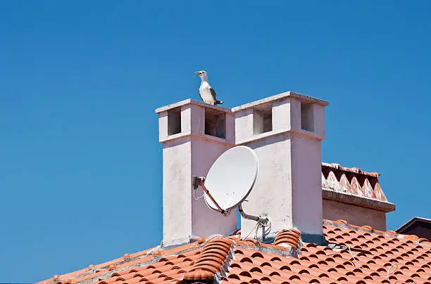 "Roof, chimneys, herring-gull and satellite antenna"