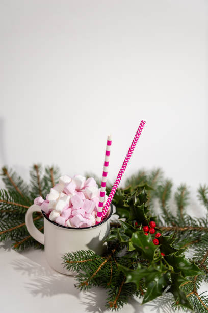 istock Cappuccino with marshmallow in mug and fir-tree branches on white table 1829074213