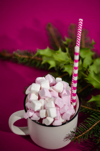istock Cappuccino with marshmallow in mug and fir-tree branches on pink background 1829074227