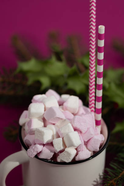 istock Cappuccino with marshmallow in mug and fir-tree branches on pink background 1829074233
