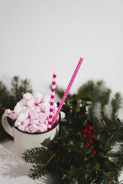 istock Cappuccino with marshmallow in mug and fir-tree branches on pink background 1829074766