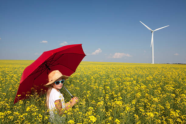 turbina a vento - manitoba prairie landscape canada foto e immagini stock