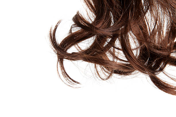 istock Brown hair in curls on flat surface 182907545