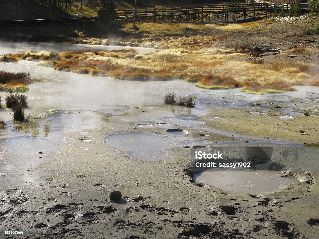 Грязевой гейзер Кратер Йеллоустонский национальный парк - Стоковые фото Biscuit Basin роялти-фри