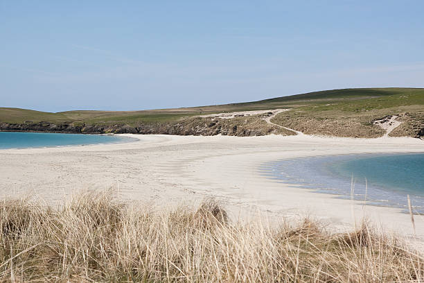 셰틀랜드제도 플라주 - shetland islands north sea beach sea 뉴스 사진 이미지