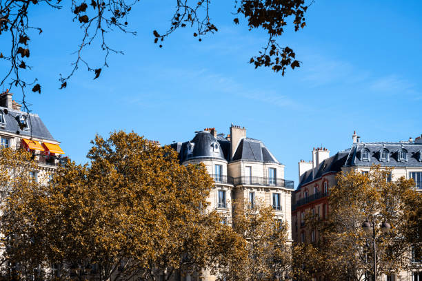 istock Facade of a Parisian building, in autumn 1829079567