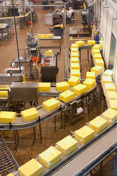 istock Food Factory - Packaging Cheese 182908147