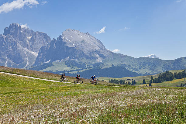 istock Downhill at Alpe di Siusi, Italy 182908399