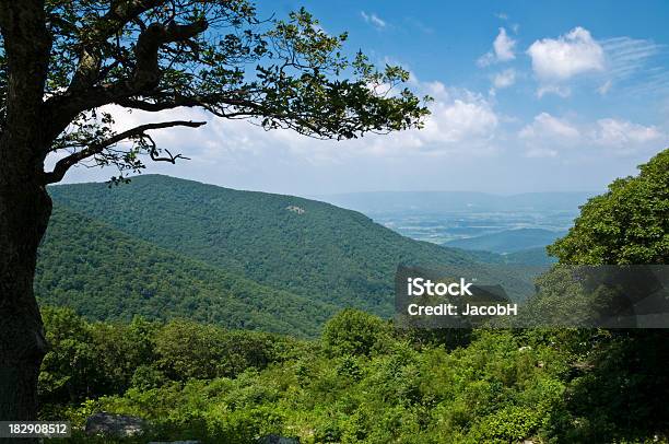 Valle Del Shenandoah Foto de stock y más banco de imágenes de Aire libre - Aire libre, Appalachia, Arbusto