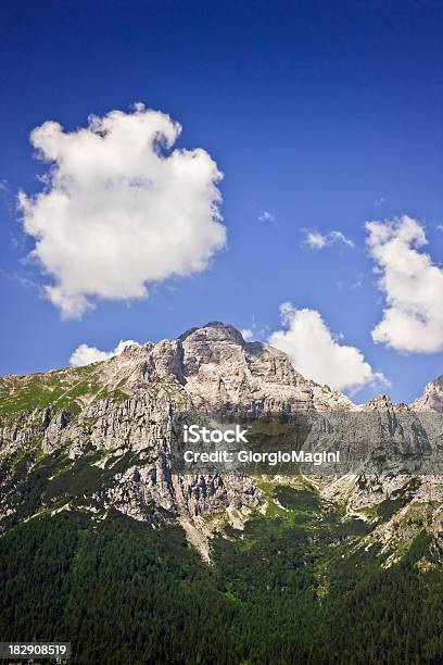 Foto de Dolomiti Del Brenta Montanhas Dolomitas No Verão e mais fotos de stock de Alpes europeus - Alpes europeus, Beleza natural - Natureza, Bosque - Floresta