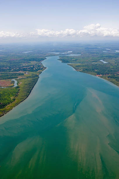 sierra leone delta del fiume - river aerial view delta rainforest foto e immagini stock