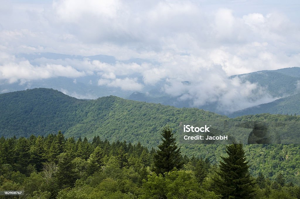Montagnes Blue Ridge - Photo de Arbre libre de droits
