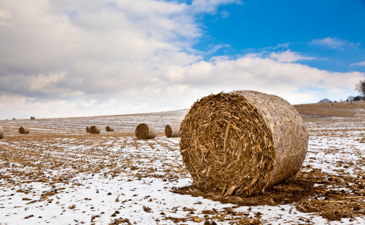 Hay field with round bales after a light snowfall.I invite you to view some of my other Winter images: