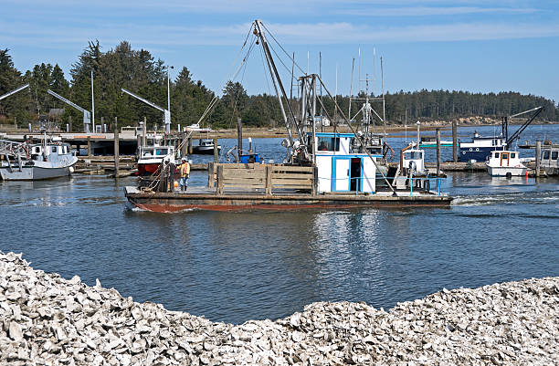 istock Man riding oyster harvesting boat to shore 182910129
