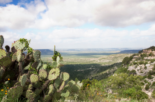 A scenic view from a bluff overlooking the Pecos River Valley in west Texas.  The river was an informal border between civilization and lawlessness during the American expansion westward.  Converted from RAW file with 16 bit processing.