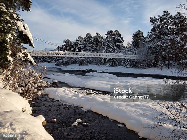 Inverno No Rio Dee Escócia - Fotografias de stock e mais imagens de Deeside - Deeside, Escócia, Fotografia - Imagem