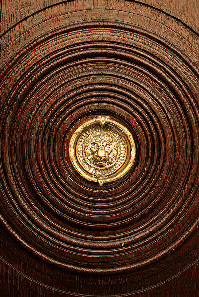 Wooden Door around a Lion bronzing stock photo