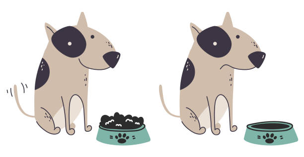 Full of food and empty animal pet bowl concept. Vector flat graphic design illustration Full of food and empty animal pet bowl concept. Vector flat graphic design animals feeding stock illustrations