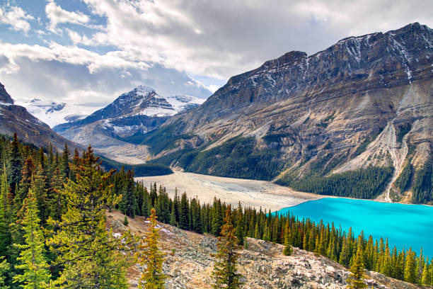istock Life of a Lake 1829108417