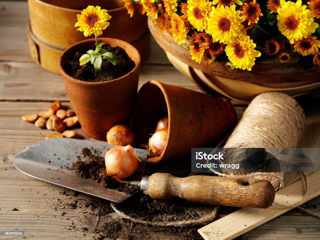 Jardinagem com Espátula e flora Pots - Royalty-free Agricultura Foto de stock