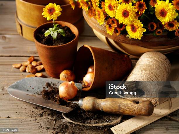 Jardinagem Com Espátula E Flora Pots - Fotografias de stock e mais imagens de Agricultura - Agricultura, Amarelo, Antigo