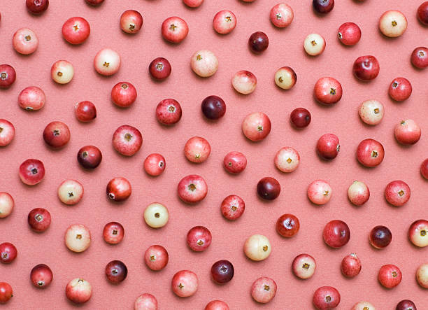 Cranberry Background Cranberry pattern cranberry stock pictures, royalty-free photos & images