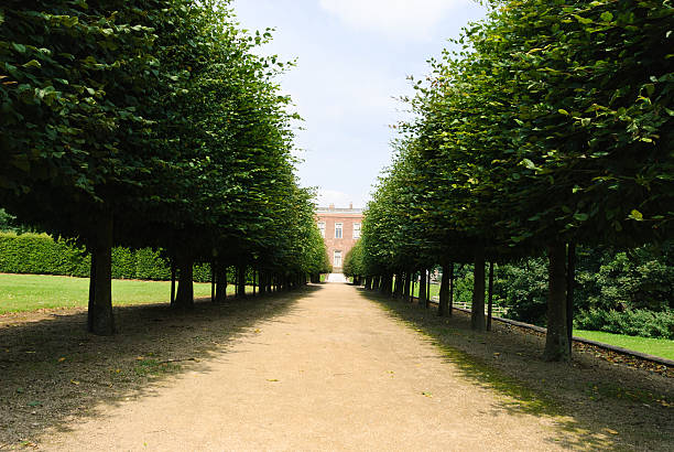 Temple Newsam "Temple Newsam is one of the great historic estates in England. Set within over 1500 acres of parkland, woodland and farmland landscaped by Capability Brown in the 18th century, it is a magnificent Tudor&#8211;Jacobean mansion." temple newsam stock pictures, royalty-free photos & images