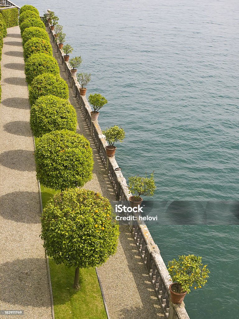 Fila de colores verde, naranja y bergamota árboles del lago - Foto de stock de Agua libre de derechos