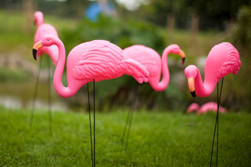 Plastic Flamingo
