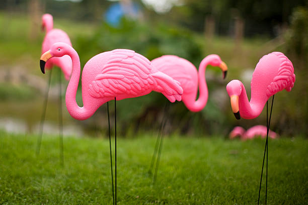 Pink Flamingo Plastic Flamingo garden feature stock pictures, royalty-free photos & images