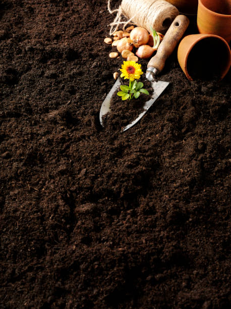 istock Garden Soil and Gadening Plant Pots 182912751
