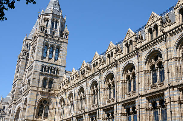 istock Natural History Museum, London 182913058