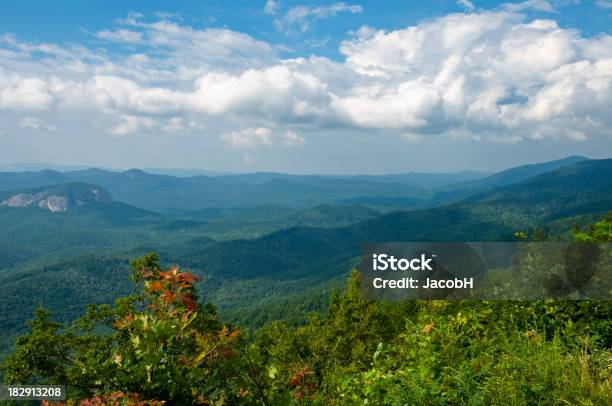 Montanhas Blue Ridge - Fotografias de stock e mais imagens de Ao Ar Livre - Ao Ar Livre, Appalachia, Arbusto