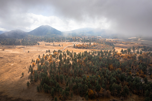 Captured from above, this aerial view showcases the rich tapestry of Julian, Stonewall Mine Trail, in Cuyamaca Rancho State Park, San Diego County, California. Evergreen and autumn-kissed trees create a vibrant mosaic around a serene clearing, nestled between majestic mountains, all under the canvas of a cloudy sky
