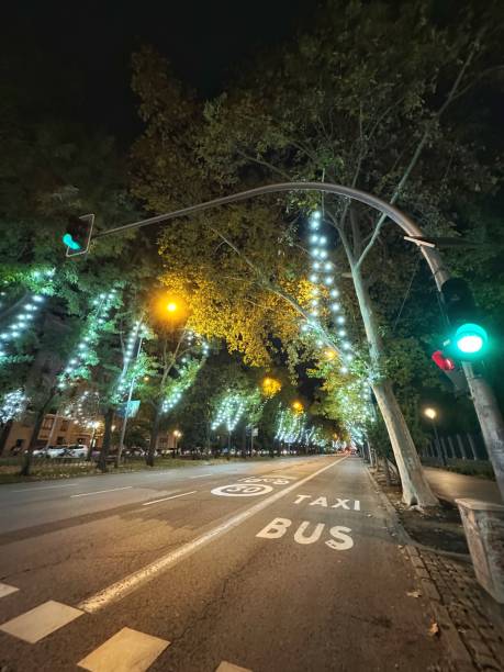 istock Christmas lights in Madrid 1829132899