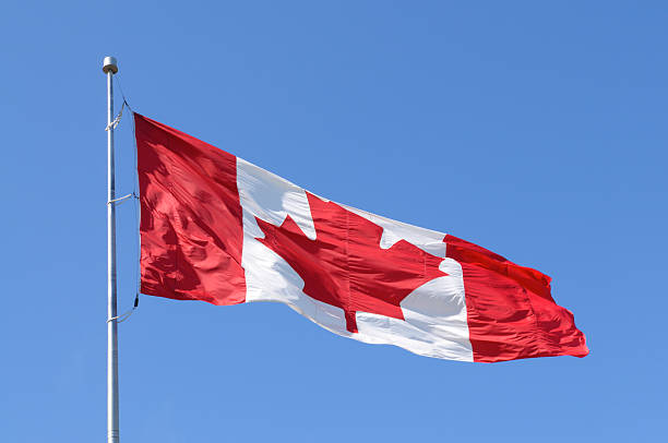 istock Canadian flag blowing in a wind 182913466