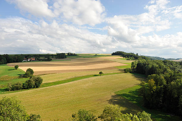 istock Peaceful countryside in Canton de Vaud - Switzerland 182913574