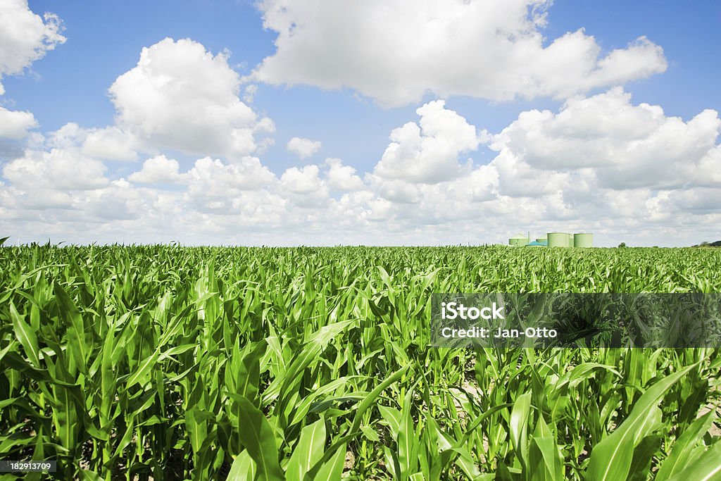 옥수수 및 생물 가스 - 로열티 프리 생물 가스 스톡 사진