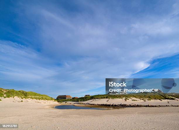 Foto de Danish West Costa e mais fotos de stock de Dinamarca - Dinamarca, Telhado de Palha, Areia
