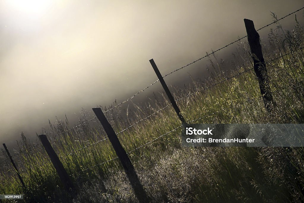 Prairie angular - Foto de stock de Amarelo royalty-free