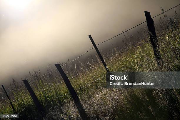 Foto de Prairie Angular e mais fotos de stock de Amarelo - Amarelo, Arame farpado - Arame, Bosque - Floresta