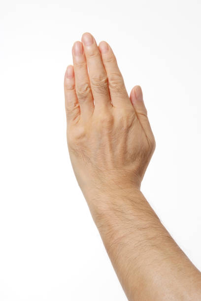 istock Isolated shot of Stop gesture, against white background 182914531