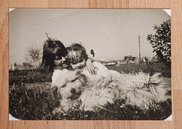 Old Picture "An old picture of cheerful siblings with their dogs, was shot in 1960s" sister photos stock pictures, royalty-free photos & images