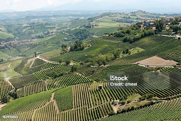 Vigneti Vicino Al Barolo Piemonte Italia - Fotografie stock e altre immagini di Ambientazione esterna - Ambientazione esterna, Azienda vinicola, Barolo