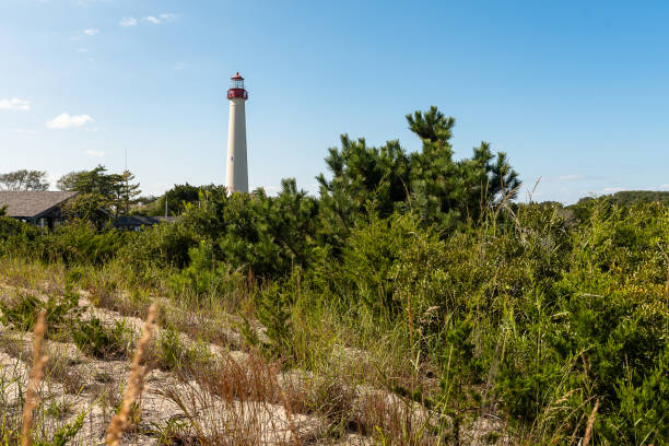 Majestic and timeless, the Cape May Lighthouse stands tall within the scenic embrace of Cape May Wetlands State Natural Area in New Jersey