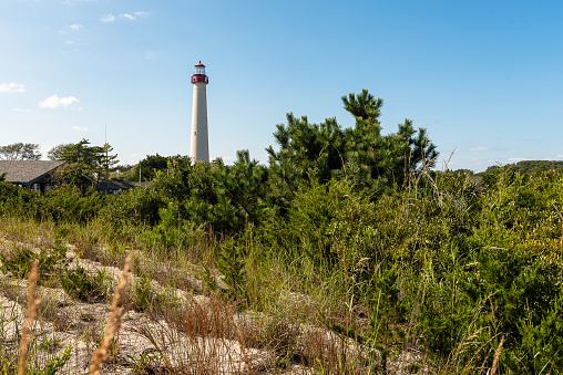 Majestic and timeless, the Cape May Lighthouse stands tall within the scenic embrace of Cape May Wetlands State Natural Area in New Jersey