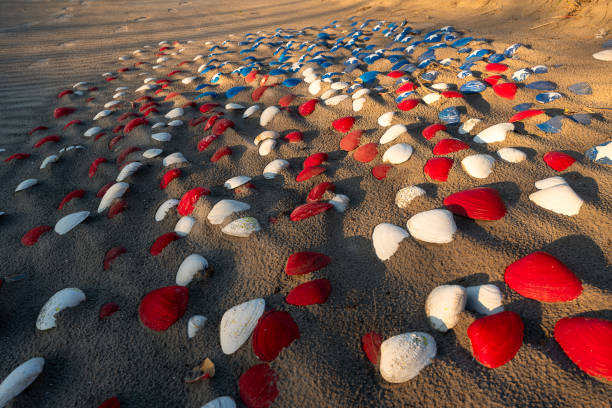 Coastal treasures: Patriotic shells on Wildwood's shore