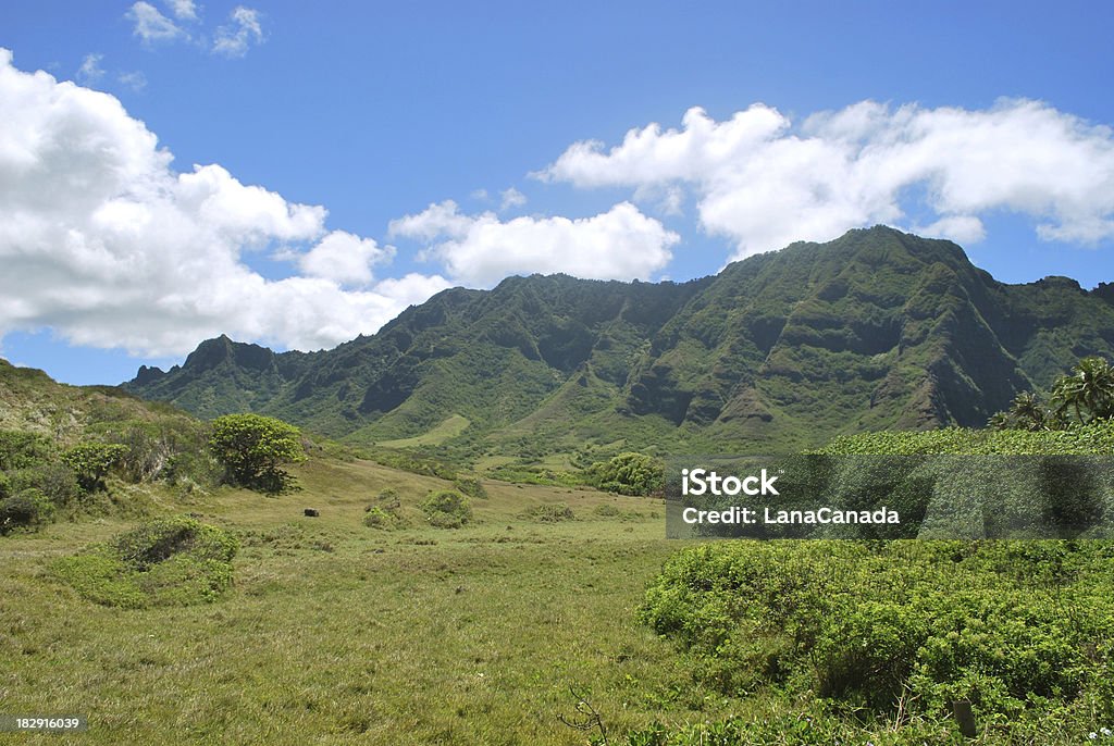 Kualoa Valley, montagne Koolau à Hawaï - Photo de Ranch libre de droits